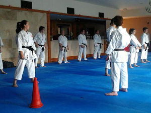 Mayo-Association-of-Shotokan-Karate Gateway Hotel Swinford